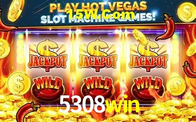 5308win - Customer Support